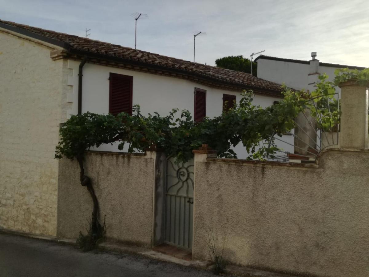 B&B Capo Le Vigne Sirolo Exterior foto